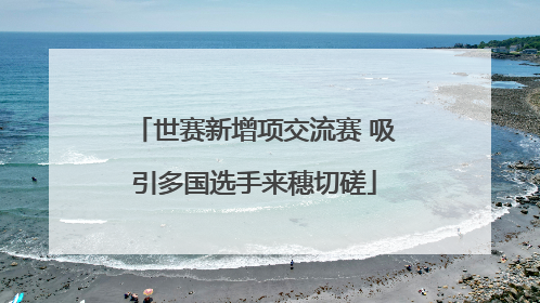 世赛新增项交流赛 吸引多国选手来穗切磋