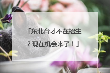 东北育才不在招生？现在机会来了！