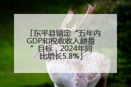 东平县锚定“五年内GDP和税收收入翻番”目标，2024年同比增长5.8%