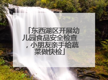 东西湖区开展幼儿园食品安全检查，小朋友亲手给蔬菜做快检