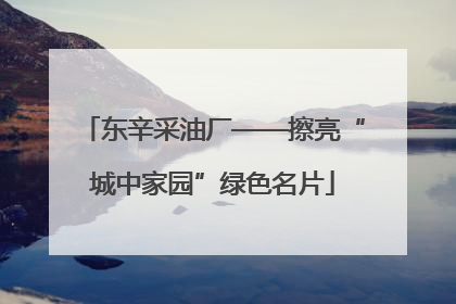 东辛采油厂——擦亮“城中家园”绿色名片