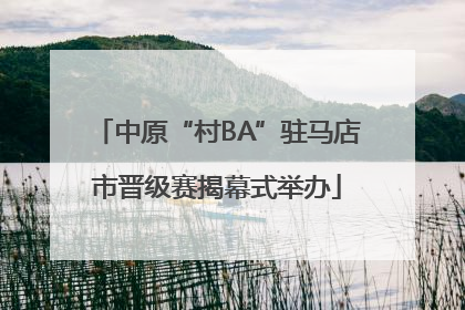 中原“村BA”驻马店市晋级赛揭幕式举办