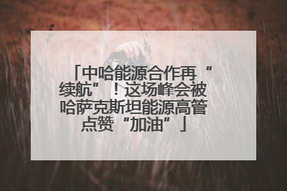 中哈能源合作再“续航”！这场峰会被哈萨克斯坦能源高管点赞“加油”