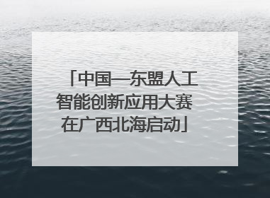 中国—东盟人工智能创新应用大赛在广西北海启动