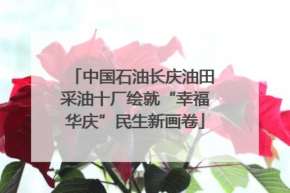 中国石油长庆油田采油十厂绘就“幸福华庆”民生新画卷