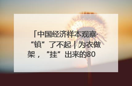 中国经济样本观察·“镇”了不起｜为衣做架，“挂”出来的80亿元“衣架产业”