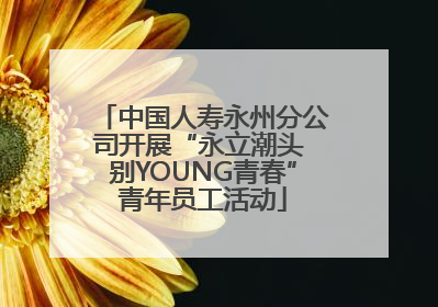 中国人寿永州分公司开展“永立潮头 别YOUNG青春”青年员工活动