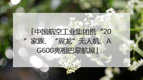 中国航空工业集团携“20”家族、“翼龙”无人机、AG600亮相巴黎航展