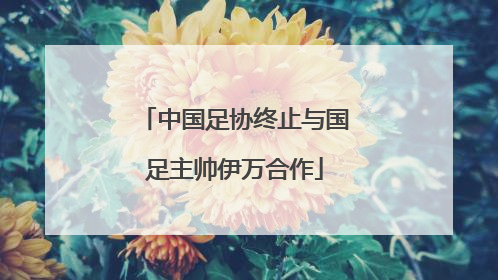 中国足协终止与国足主帅伊万合作