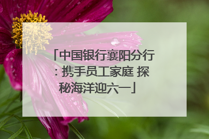 中国银行襄阳分行：携手员工家庭 探秘海洋迎六一