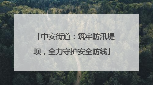 中安街道：筑牢防汛堤坝，全力守护安全防线