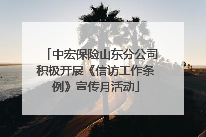 中宏保险山东分公司积极开展《信访工作条例》宣传月活动