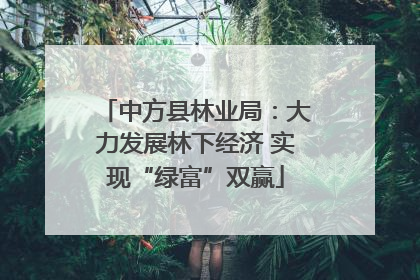 中方县林业局：大力发展林下经济 实现“绿富”双赢