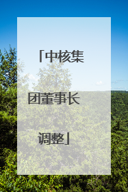 中核集团董事长调整