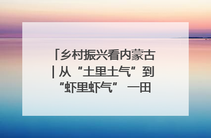 乡村振兴看内蒙古｜从“土里土气”到“虾里虾气” 一田双收模式火出圈