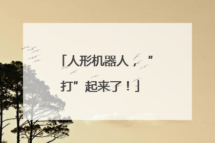人形机器人，“打”起来了！