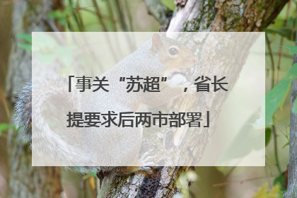 事关“苏超”，省长提要求后两市部署