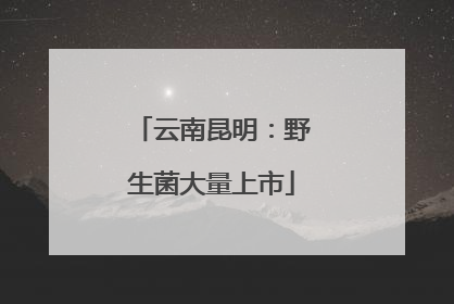 云南昆明：野生菌大量上市
