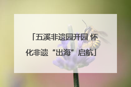 五溪非遗园开园 怀化非遗“出海”启航