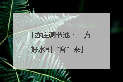 亦庄调节池：一方好水引“客”来