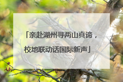 亲赴湖州寻两山真谛，校地联动话国际新声