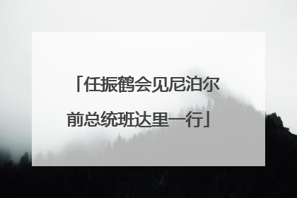 任振鹤会见尼泊尔前总统班达里一行