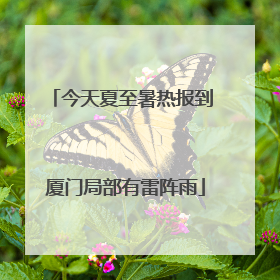 今天夏至暑热报到 厦门局部有雷阵雨