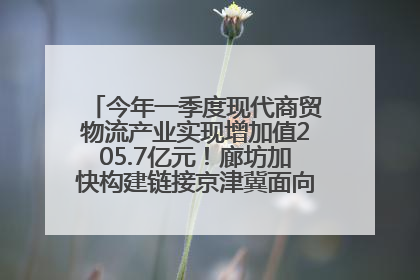 今年一季度现代商贸物流产业实现增加值205.7亿元！廊坊加快构建链接京津冀面向全世界的物流通道