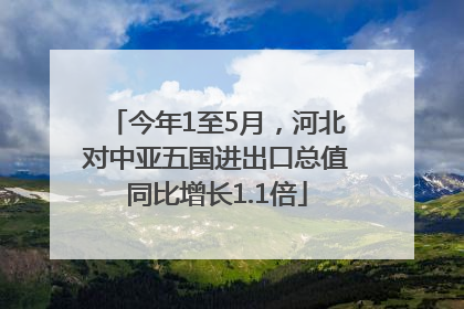 今年1至5月，河北对中亚五国进出口总值同比增长1.1倍