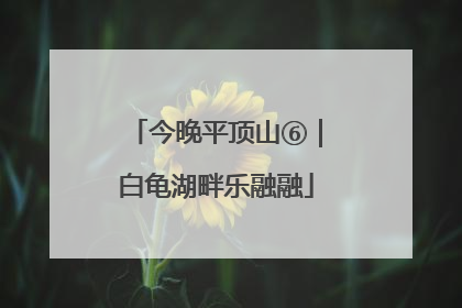 今晚平顶山⑥｜白龟湖畔乐融融