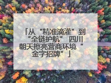 从“精准滴灌”到“全链护航” 四川朝天擦亮营商环境“金字招牌”