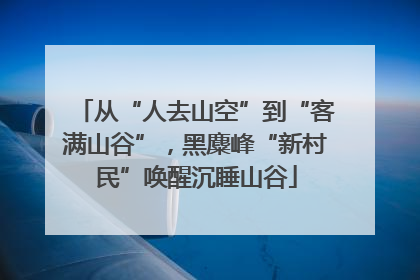 从“人去山空”到“客满山谷”，黑麋峰“新村民”唤醒沉睡山谷
