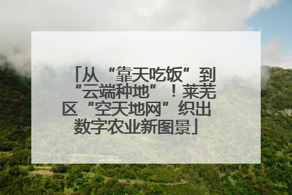 从“靠天吃饭”到“云端种地”！莱芜区“空天地网”织出数字农业新图景