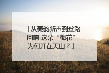 从秦韵新声到丝路回响 这朵“梅花”为何开在天山？