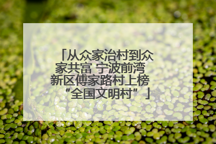 从众家治村到众家共富 宁波前湾新区傅家路村上榜“全国文明村”