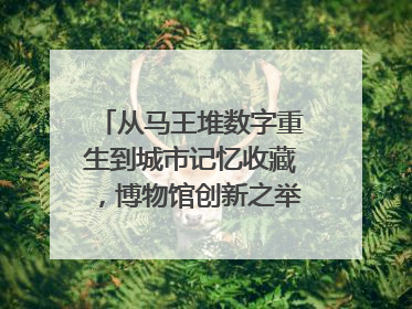 从马王堆数字重生到城市记忆收藏，博物馆创新之举如何守护历史、连接未来？