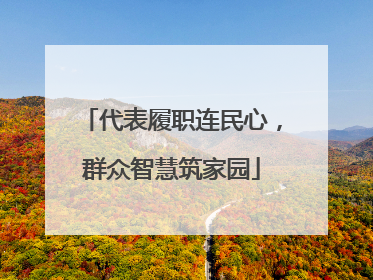 代表履职连民心，群众智慧筑家园