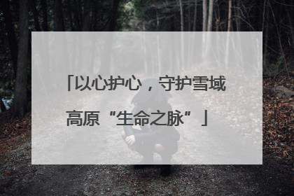 以心护心，守护雪域高原“生命之脉”