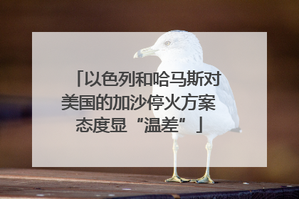 以色列和哈马斯对美国的加沙停火方案态度显“温差”