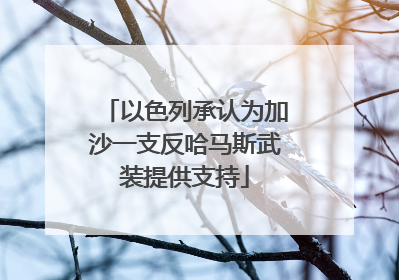 以色列承认为加沙一支反哈马斯武装提供支持