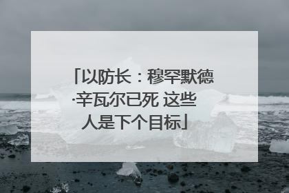 以防长：穆罕默德·辛瓦尔已死 这些人是下个目标