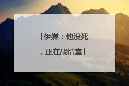 伊媒：他没死，正在战情室