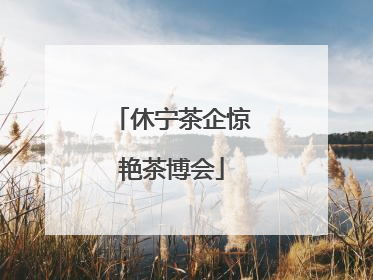 休宁茶企惊艳茶博会