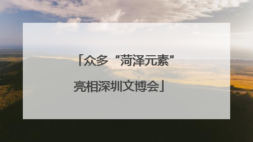 众多“菏泽元素”亮相深圳文博会