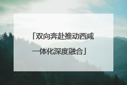 双向奔赴推动西咸一体化深度融合