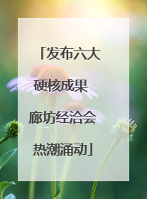 发布六大硬核成果 廊坊经洽会热潮涌动