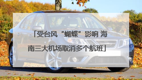 受台风“蝴蝶”影响 海南三大机场取消多个航班