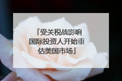 受关税战影响 国际投资人开始重估美国市场