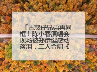古惑仔兄弟再同框！陈小春演唱会现场被郑伊健感动落泪，二人合唱《一起冲一起闯》再现青春回忆