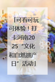 可看可玩可体验！打卡河南2025“文化和自然遗产日”活动